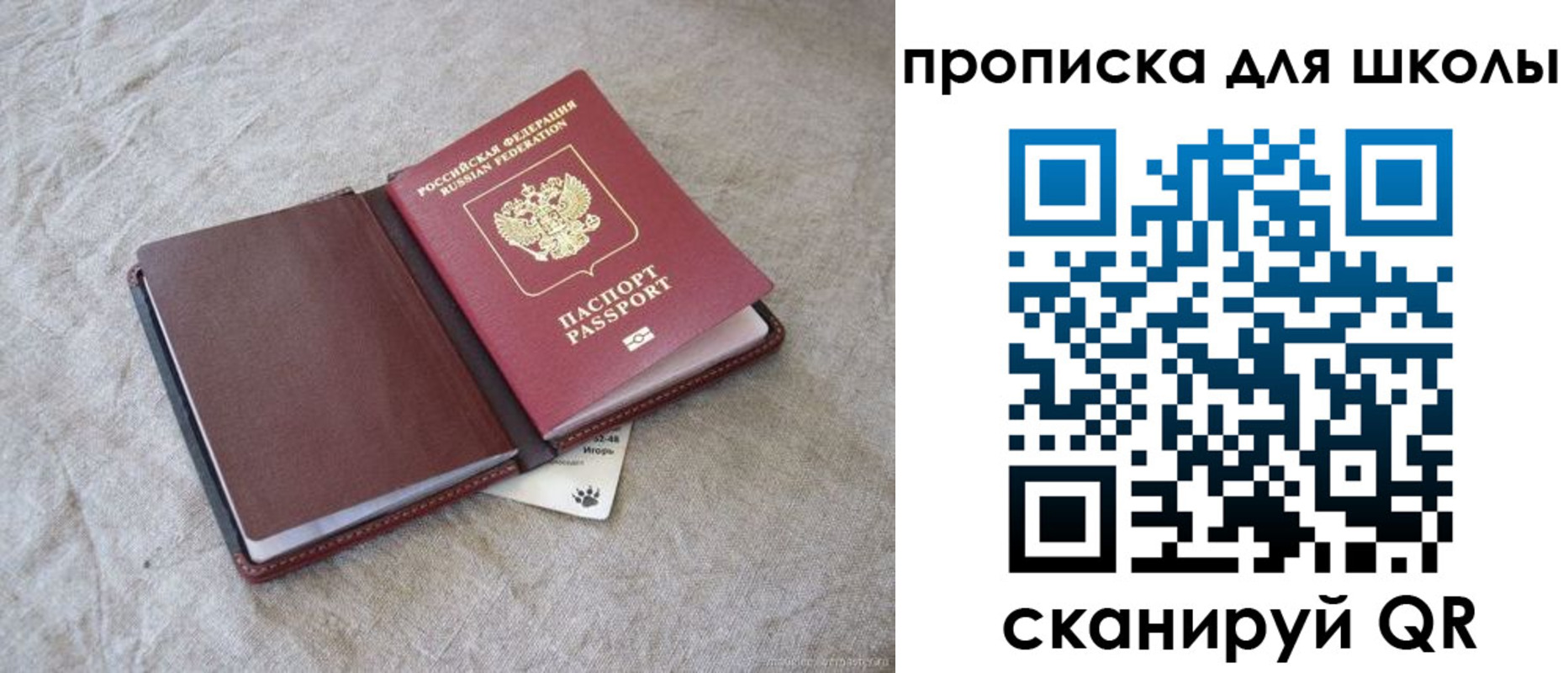 прописка штамп в Острогожске